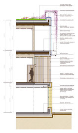 Bor1_esq_cpe_detail_normal