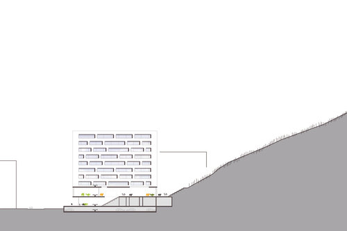 Section_large