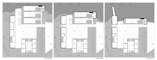 Piante_2_large