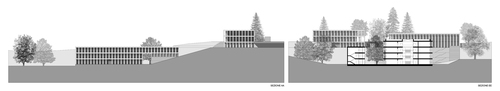 Sezioni_1_large