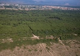 Aerofoto_pineta_dune_normal