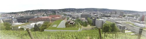 R_view_vineyard_72dpi_large
