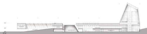Longitudinal-section_large