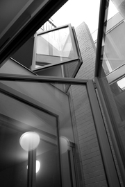 Image4_looking_up_b_w_normal