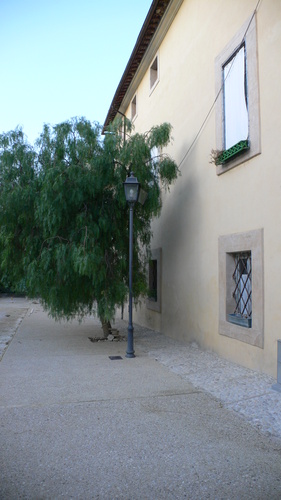 P1080482_large