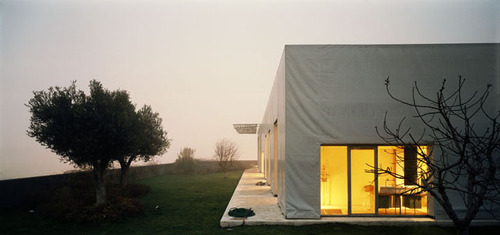 11_linke_large