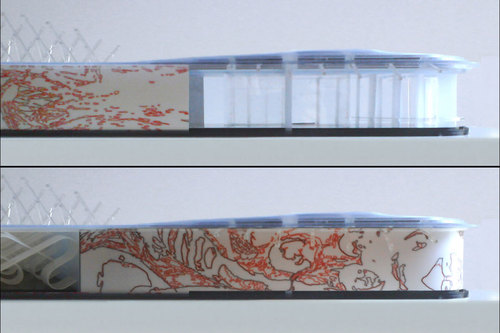 8875_model_shot_1_large