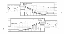 Longitudinal-section_normal