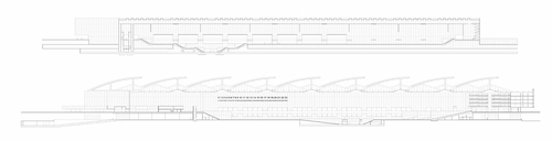 Sec-longitudinal_large