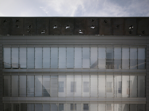 Palazzo_grossi_12_large