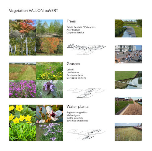 10-valley_large