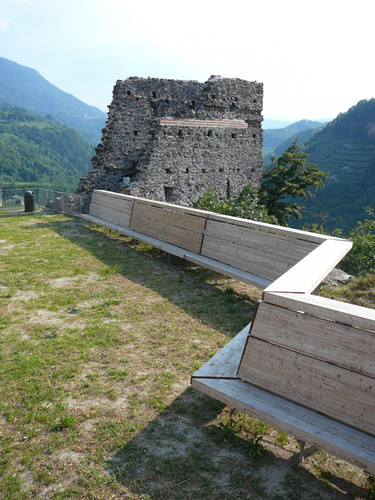 P1010688_large