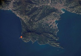 Bat_01_satellite_normal