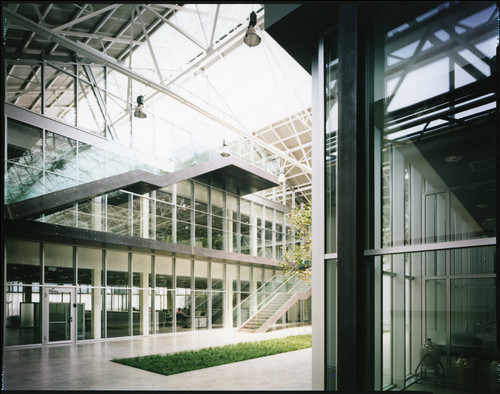 005_large