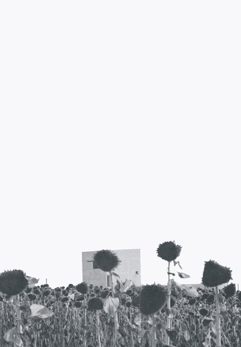 09_large