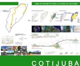 Cotijuba_rimp_normal
