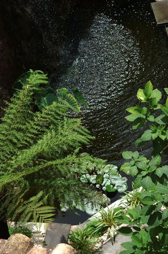 Dsc_02350798_large