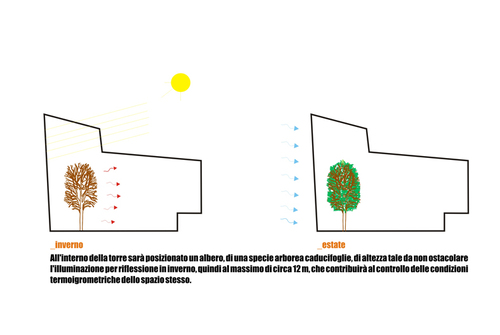Schema_7_large