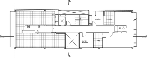 Planta-6_large