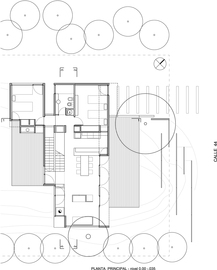 Planta-principal_normal
