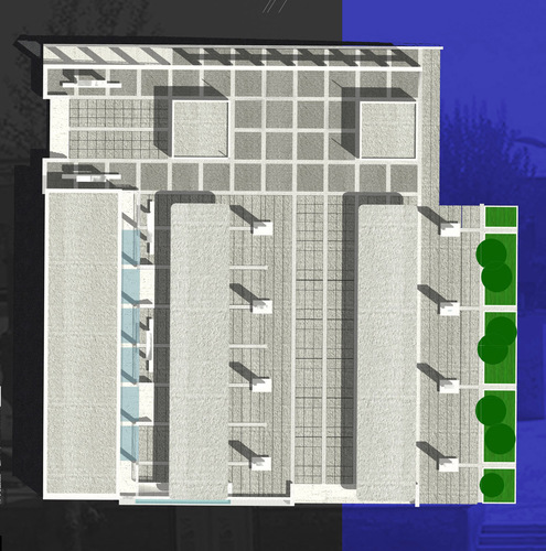 1-2_pianta_large