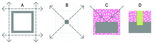 Schema_a_large