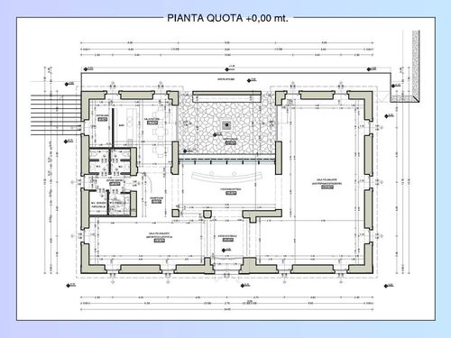 Pianta_large