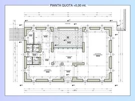 Pianta_normal
