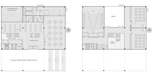 Tl01_large