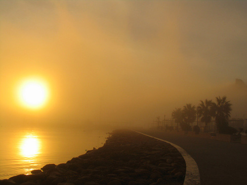 Nebbia_large
