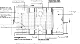 Bonsanguepianta_copy_normal