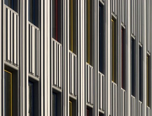 Dsc_0061_large