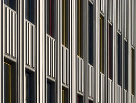 Dsc_0061_normal