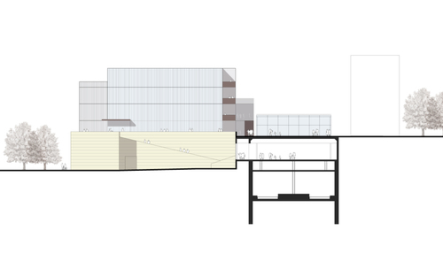 Ncg_6_large