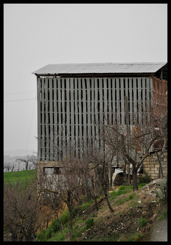 Wg_01_large