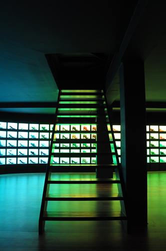 Dsc_7232_large