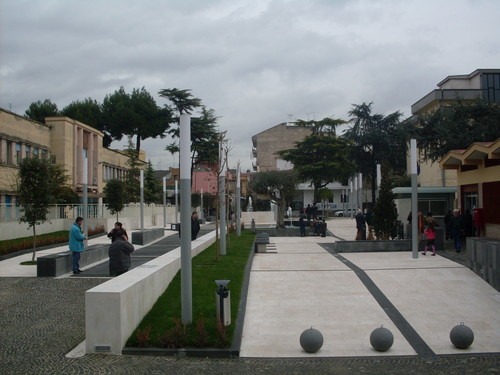 Sdc11012_large