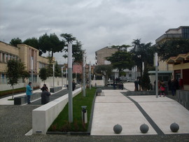 Sdc11012_normal