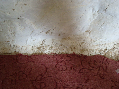 Dsc03161_large