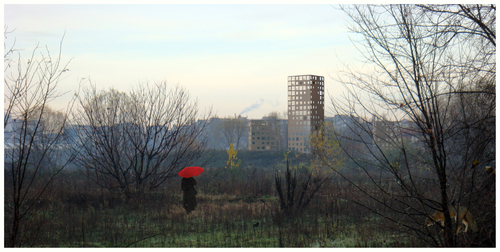 Cnn_06_large