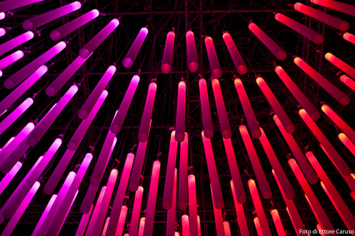 Pulse_milano__mg_2759_large