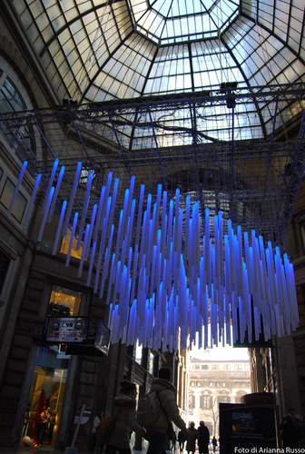 Dsc_0521_large