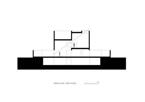 Asencio_cross-section_large
