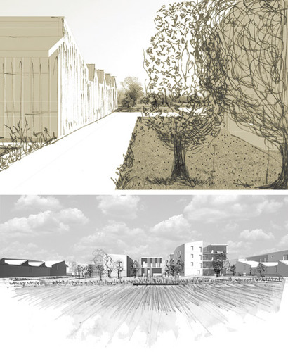 Fig_10_large