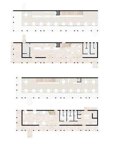 Image_12_large