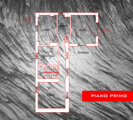 P-primoa_normal