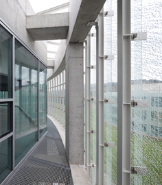 Coll-barreu-arquitectos_softwarebiotechplants_aleixbague--p02_normal