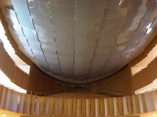Img00196-20100110-1120_large