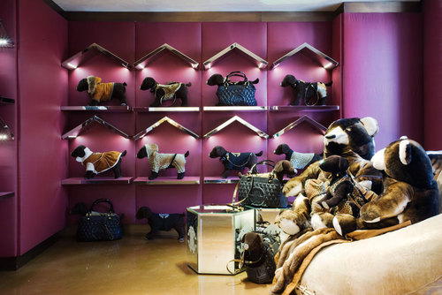 Boutique-cavalli_g