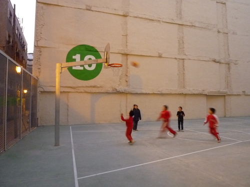 P1000560_large